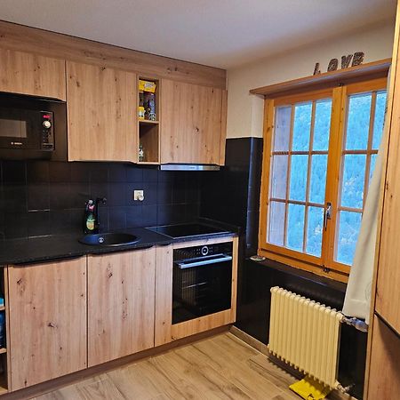Le Panorama - Appartement 54 A Arolla Face Aux Montagnes A 150M Des Pistes Evolène 外观 照片