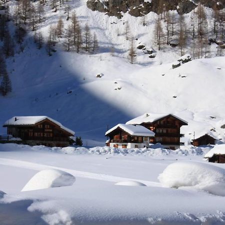 Le Panorama - Appartement 54 A Arolla Face Aux Montagnes A 150M Des Pistes Evolène 外观 照片