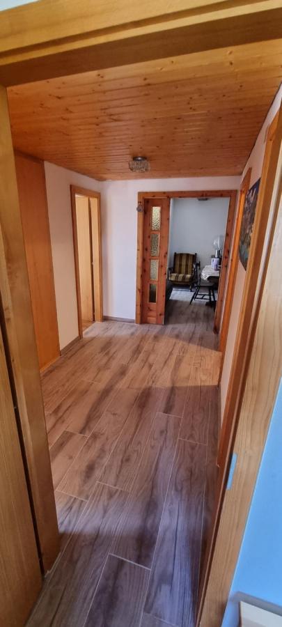 Le Panorama - Appartement 54 A Arolla Face Aux Montagnes A 150M Des Pistes Evolène 外观 照片