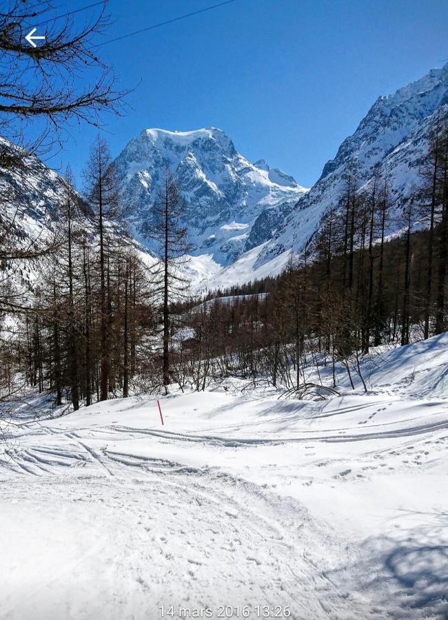 Le Panorama - Appartement 54 A Arolla Face Aux Montagnes A 150M Des Pistes Evolène 外观 照片