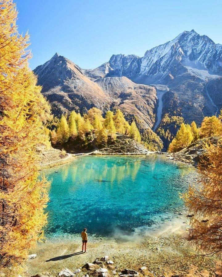 Le Panorama - Appartement 54 A Arolla Face Aux Montagnes A 150M Des Pistes Evolène 外观 照片
